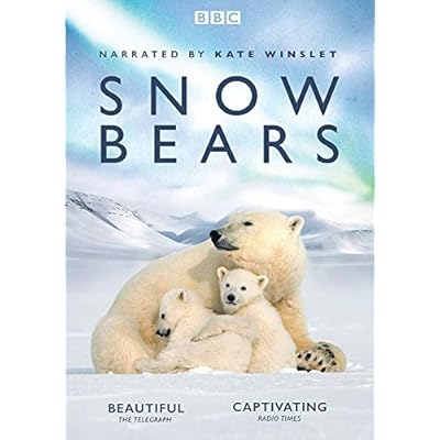 Snow Bears