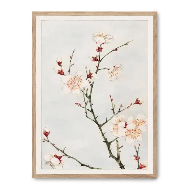Cuadro blossoming beauty FASE5 pour raviver un mur vide et triste sans travaux