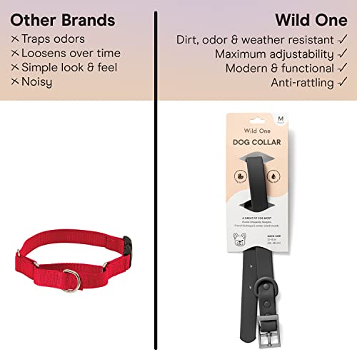 Wild One Dog Collar, Easy-Clean, All Weather Flex-Poly Strap with Metal, Durable, Dirt and Odor Resistant (Black, XS) by Wild One - Used condition - Image 7