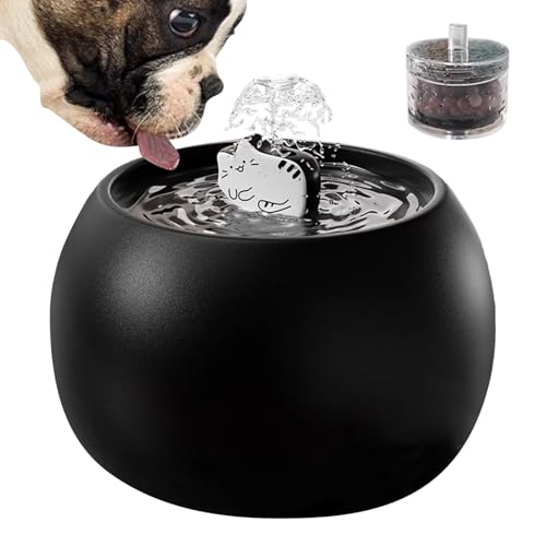 Fuente para gatos recargable que soluciona el agua estancada 7