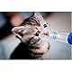 Free-Space Cat Aerosol Inhalator Spacer Chamber zu helfen, bei Katzen mit Asthma zu atmen 2 Größen der Maske, passt alle Katzen und kleine zu Mediu Asthma oder COPD
