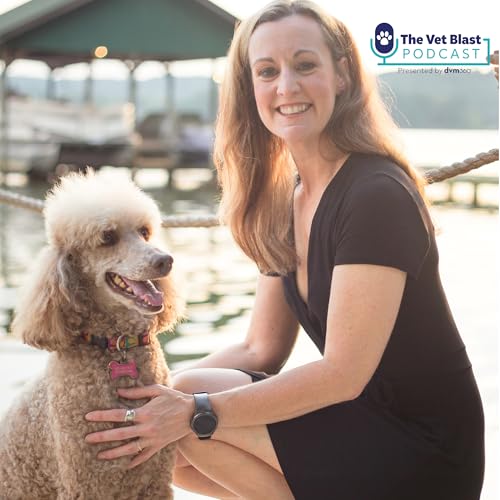 404: Creating low-stress veterinary visits for cats