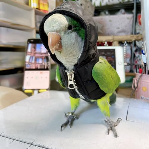 CXYYXF Pano de pássaro, festa de Natal, fantasia de aniversário para papagaio, Halloween, animais de