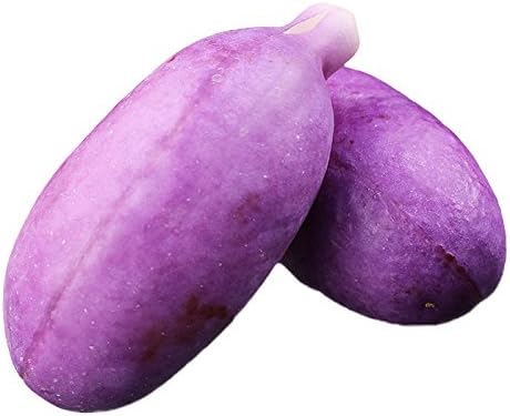 Amazon あけび アケビ 山形産のあけび1kg 5 10個 フルーツ オーガニックサイバーストア 果物 通販