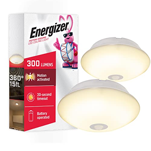 Best Basement Ceiling Options for a Warm and Inviting Space