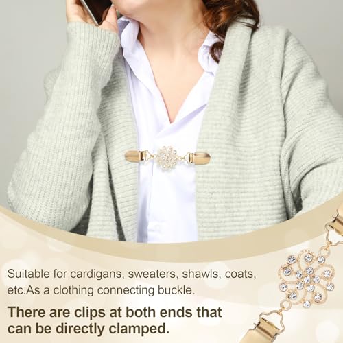Image of Joez Wonderful Dress Clips Back Cinch, Vintage Waist Cincher Clip, Hat Dress Shirt Shawl Cardigan Clips for Women