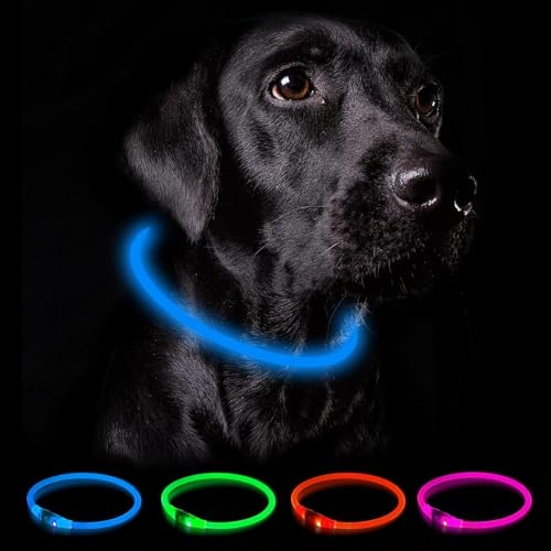 Nepfaivy Collar Luminoso Perro Recargable - 3 Modos Collar Perro Luz con Impermeable, Ajustable Collares LED para Perros Pequeños/Medianos/Grandes, Azul