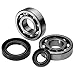 Quadboss Crankshaft Bearing and Seal Kit for 85-92 Suzuki LT250R