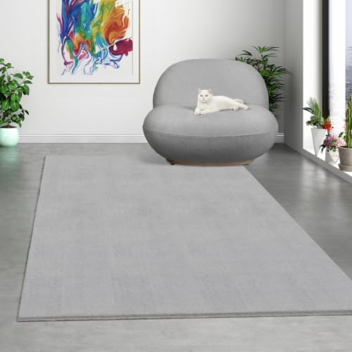 Alfombras de Habitacion Gris Pelo Corto Marca Mias Teppiche