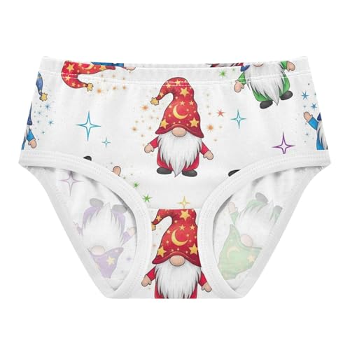 Toddler Girls Underwear 2t Cotton Cute Panties Girl Fun Print Kids Undies Briefs Colorful Gnomes St