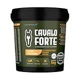 Suporte premium para atletas