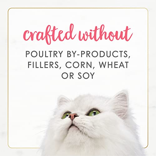 Image of Purina Fancy Feast Grain Free Pate Wet Kitten Food Gourmet Naturals Wild Alaskan Salmon Recipe - (Pack of 12) 3 oz. Cans