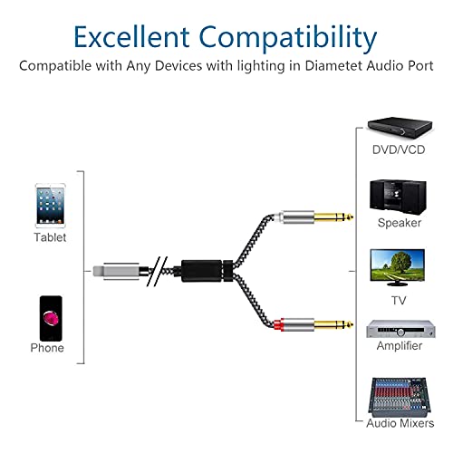 Wltasuy [Apple Mfi Certified] 6.6Ft Lightning To 2-Male 1/4 Ts Audio Stereo Cable, Dual 6.35Mm Male Audio Cord Compatible With Ipad, Iphone 13 Pro For Amplifier, Mixer, Home Theater, Speaker Ect #TOP3