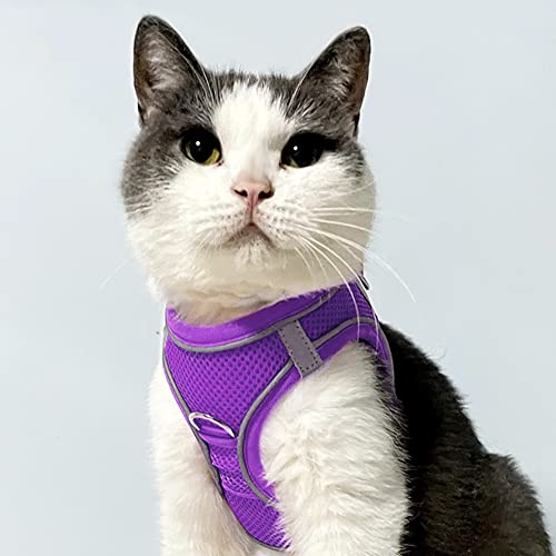 Joytale Step in Dog Harness,Soft Mesh Reflective Breathable Vest Harnesses,Easy Walk Harness with Safety Buckle for Cat,Puppies and Extra Small Dogs,XXS,Purple - Image 2