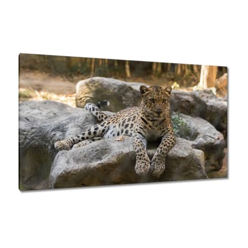 Peinture imprimée sur toile léopard tableau art animalier sauvage