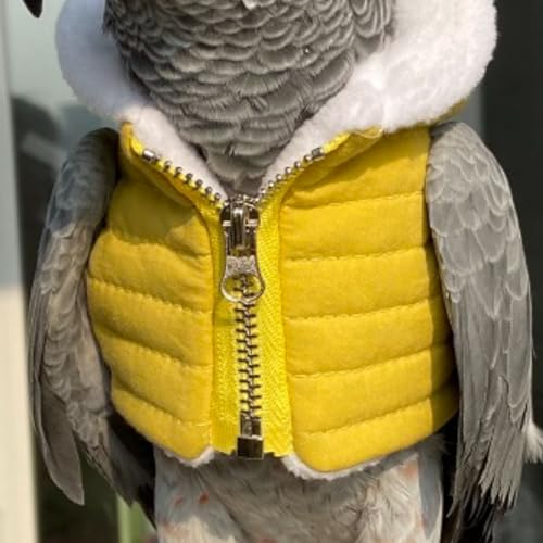 Pano de pássaro, festa de Natal, fantasia de aniversário para papagaio, Halloween, animais de estima