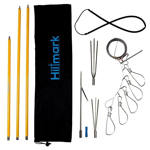 Hawaiian Sling Fishing Spear Set - 3 Piece Travel Fiberglass Pole Spear Harpoon for Fishing with Stainless Steel Single Barb, Lionfish & Paralyzer Tips - Also Includes Fishing Stringer & Travel Bag