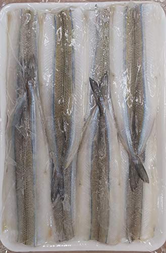 T@J@500x24PiP15j@Ɩp@i@