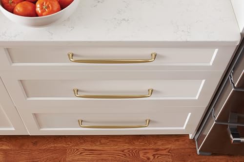 Amerock 10-1/16" Kane Champagne Bronze Drawer Pull by Amerock - Used condition - Image 2