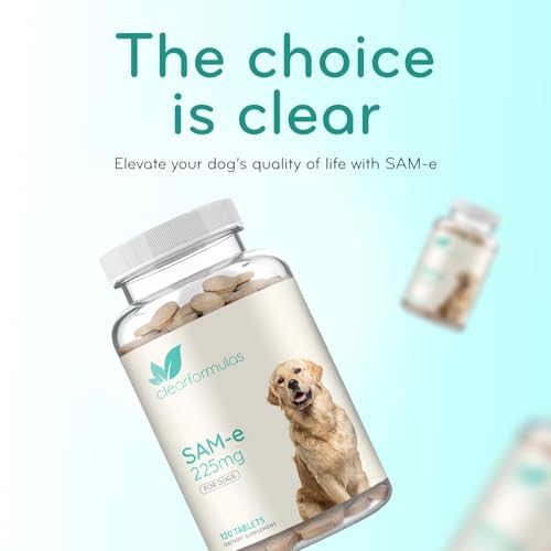 Image of Liver Support for Dogs with SAM-e - Chewable SAM-e for Dogs Bone Mood Brain and Liver Support Supplement with Easy Absorption 225mg S-Adenosyl-L-Methionine - Made in a cGMP US Lab (Single)