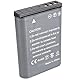 DSTE 2-Pack Ersatz Batterie Akku Kompatibel für EN-EL23 und Coolpix P600, P610, P610s, P900, P900s, S810c, B700 Digital Kamera