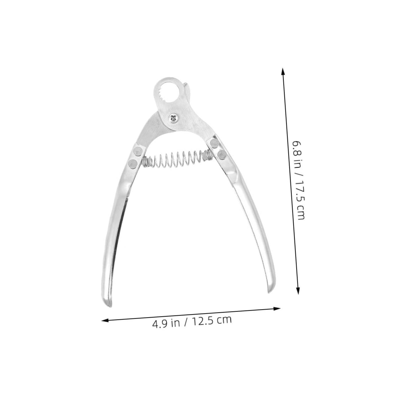 AUTSUPPL Snail Tail Clamp Cutting Pliers Stainless Steel Escargot Scissors Kitchen Utensil for Tail Removal Easy to Use