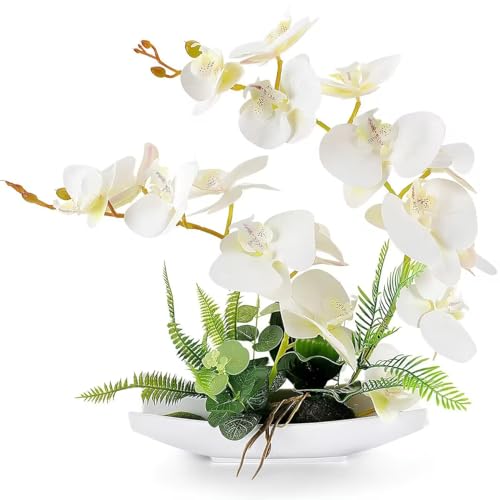YOBANSA Real Touch Orchidea finta Bonsai Fiori artificiali con imitazione Vasi da fiori in porcellana Phalaenopsis Composizione floreale per la decorazione domestica Regali di Natale (White)