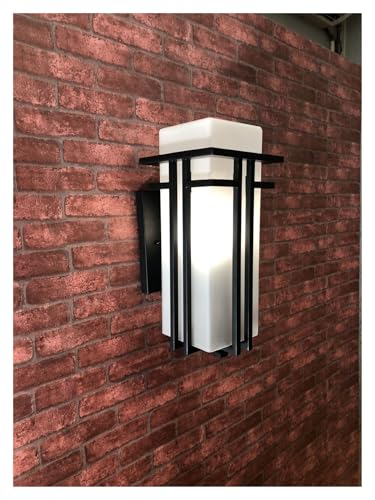 Applique murale extérieur LED chinoise moderne grand format 20W - 4