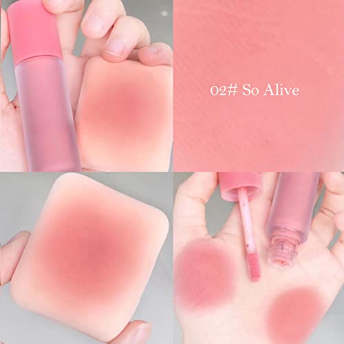 Matte Liquid Blush For Cheeks, Soft Cream Blush Makeup, Velvet Mousse Texture, Breathable Feel, Natural-Looking, Blush Stick For Cheek 02# So Alive #TOP2