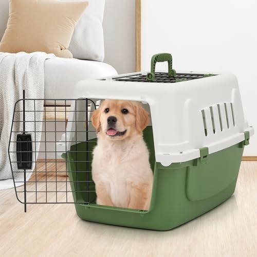 Magshion MAG-A17-PAB-001-23-WHGN Pets Plastic Carrier, 22-Inch Hard-Sided 2-Door Top-Loading Kennel For Small Dogs And Catslonger Traveling thumb #3