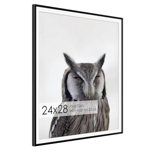24x28 Metal Picture Frame with 22x26 Mat, Brushed Aluminum Finish, Tempered Glass, and Attached Hanging Hardware - Versatile Wall Display Frames for Vertical or Horizontal Orientation, Black, 1 Pack