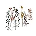 Sizzix Thinlits Die Set 661808, Wildflowers 2 by Tim Holtz, Multi Color, One Size,