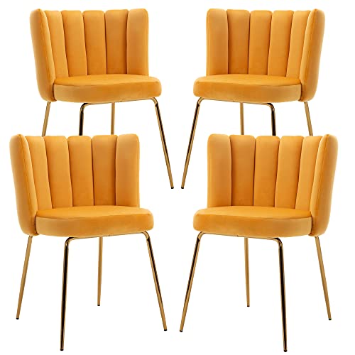 Velvet Barrel Dining Chairs Set of 2 Modern Accent Chairs Upholstered Host Side Chairs with Gold Metal Legs for Home Kitchen Living Room, Rose