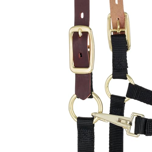 Weaver Equine Breakaway Horse Halter, Supple Leather Crown, Adjustable Chin & Throat Snap Halters for Horses, Equine Tack,Pony Size, Black by Weaver Equine - Image 8