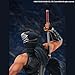 Ninja Gaiden: Ryu Hayabusa 1:7 Scale Figure
