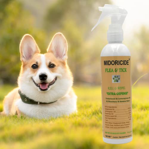 Midoricide Dog Extra Defense Flea And Tick Control Spray - To Kill And Repel Ticks And Fleas -8Oz For Dogs And Horses #TOP3