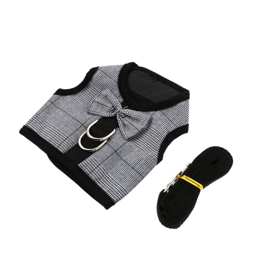 QUMIIRITY pXgCvn[lXƃ[V ^wSxXgfUC yʒʋCłU≮O t@bViuň