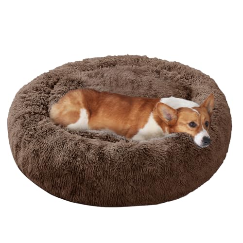 Image of JOLLYVOGUE Dog Bed, Calming Anti-Anxiety Large Dog Bed, Fluffy Donut Cushion for Medium and Large Pets (27 inch /30 inch /36 inch)