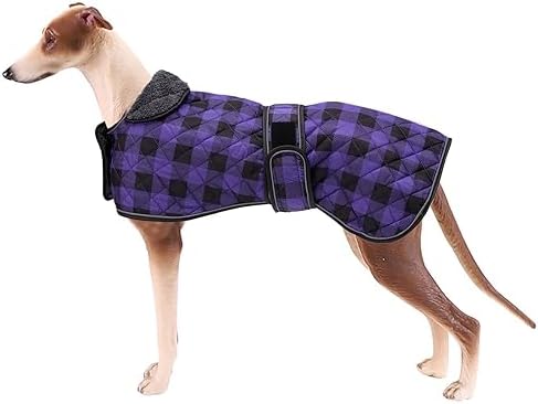Geyecete Greyhound Winterjas - regenjas met lamsfluwelen binnenkant - hondenkleding voor buiten met verstelbare bandjes - zwart - XS (Medium, L