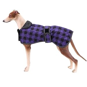 Geyecete Waterproof Greyhound Whippet Lurcher Dog Coat-with warm fleecy lining inside Outdoor Dog Apparel with Adjustable Bands For Medium, Large Dog-Purple-M