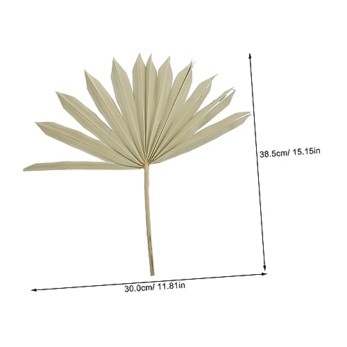 Adorno natural de hoja de palma seca para decoración miniatura 2