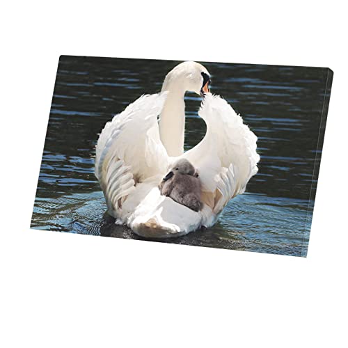 Tableau cygne et son bébé pour masquer un mur vide - Toile nature 98x60 cm