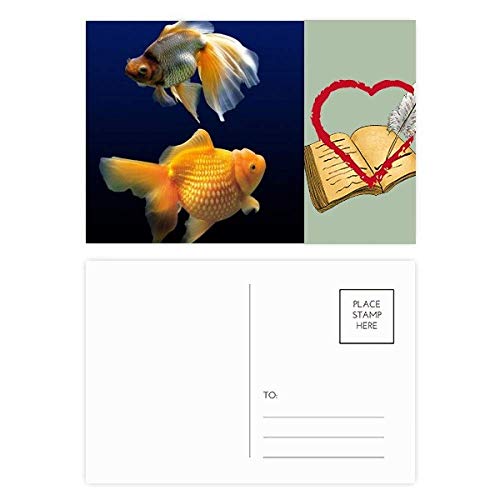 Bestchong Ocean Fish Science Nature Picture Diary Day Lot de 20 cartes postales de remerciement