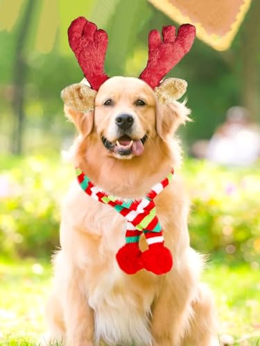 Disfraz para perros con diadema de árbol navideño rojo miniatura 2