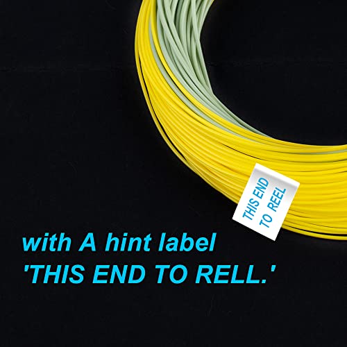 Image of HERCULES Fly Fishing Line Floating Weight Forward Fly Line with Double Welded Loop