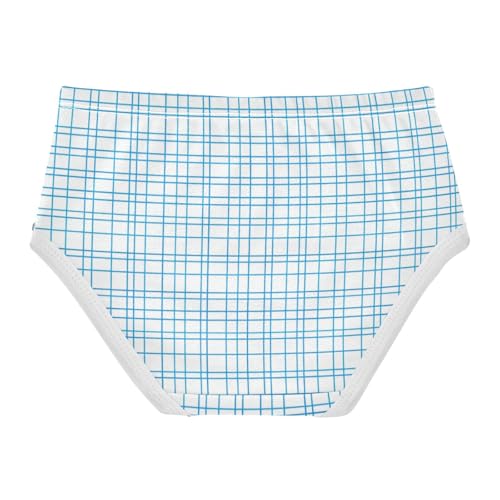 Light Blue Grid Plaid Girls' Breathable Triangle Panties Organic Underpants for Toddlers in Sizes 2T,3T, 4T, 5T, 6Y and 8Y2