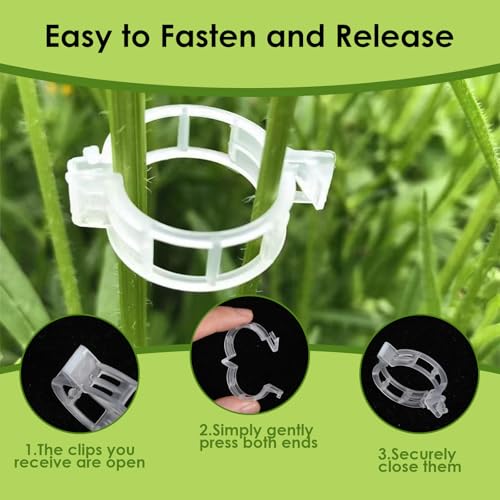 Tyqour 100pcs Tomato Plant Clips for Climbing Plants Plant Supports for Outdoor Plants Garden Plant Support Clips Vine Stem Clips for Fixing Tomatoes Vegetables - Image 3