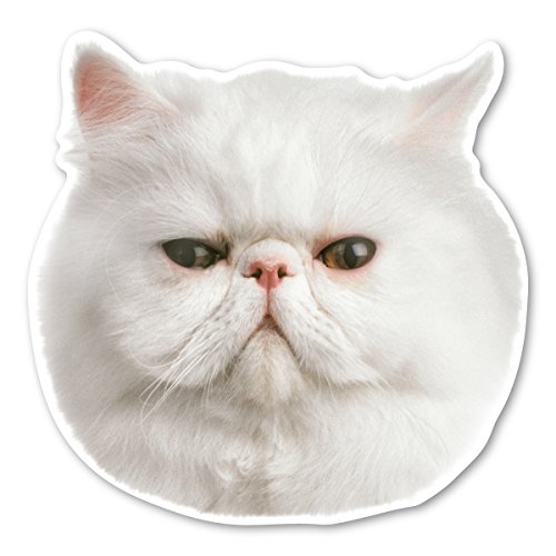 Magnet America (White) Persian Cat Magnet is 6.8" x 4.9"