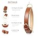 HEELE Hundehalsband, Halsband Leder mit gepolstert und echtes Leder, Verstellbar für Welpen Kleine Mittel Grobe Hunde, Braun, XS