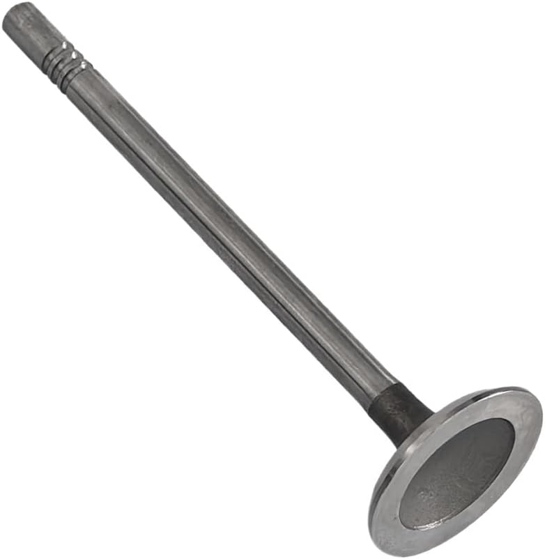 Intake Valves & Exhaust Valves Set Replacement Compatible with Ford/with Lincoln/with Mercury 4.6L 5.4L 16V 1992-1999
